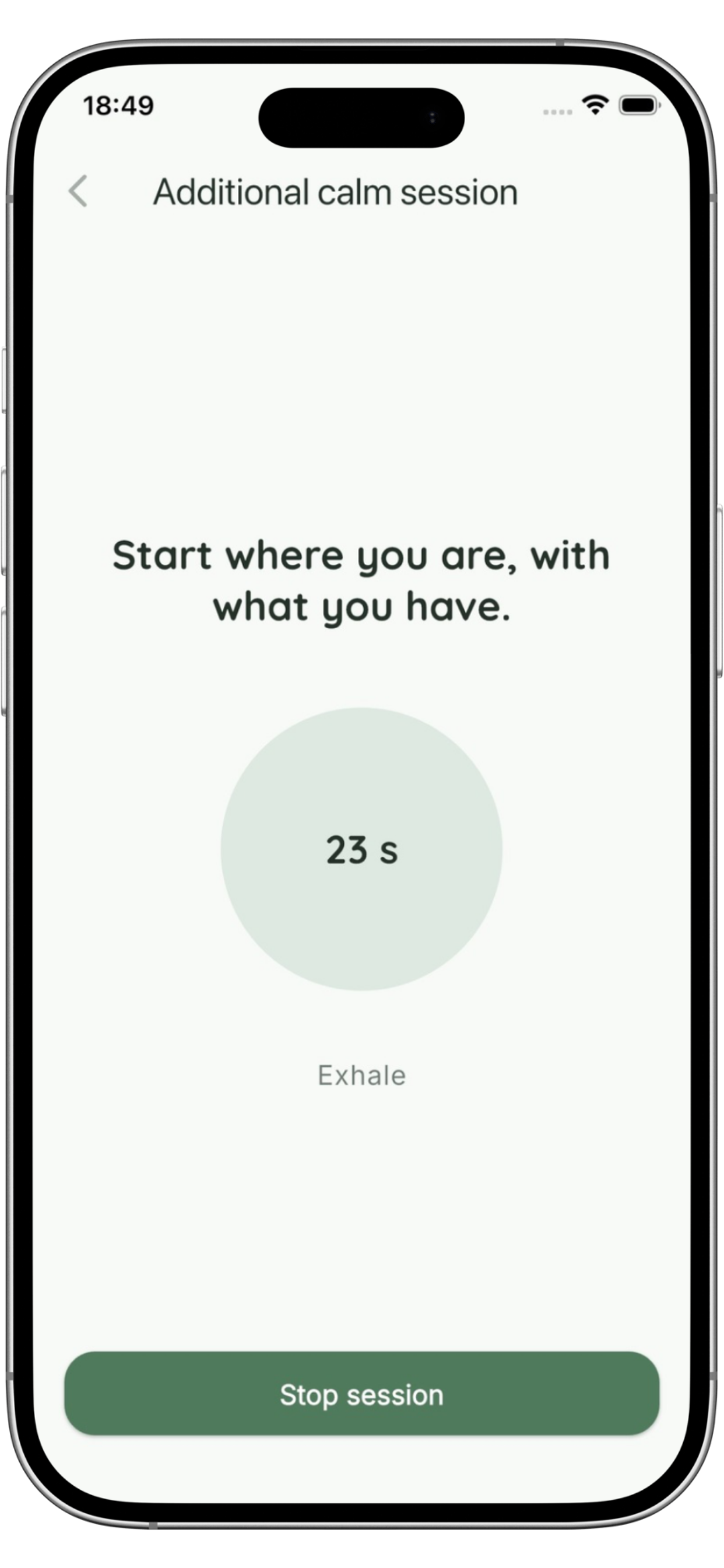 Pausatto daily gratitude session screen